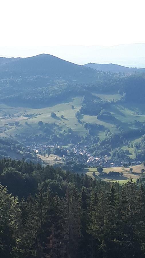 Les O Welches Cote Lac Orbey Dış mekan fotoğraf