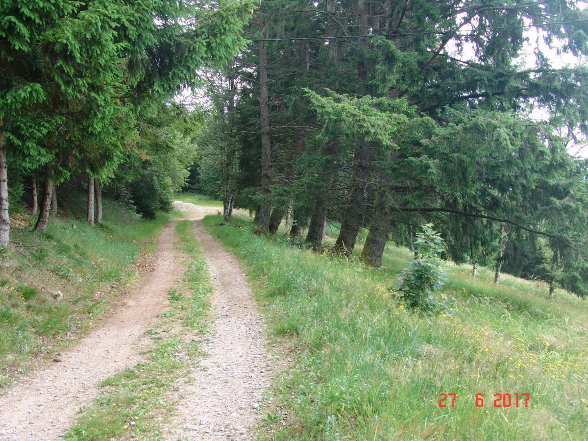 Les O Welches Cote Lac Orbey Dış mekan fotoğraf